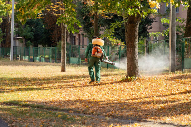 Wasp Removal Services in Ramblewood, NJ